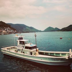 今シーズンのロックフィッシュ